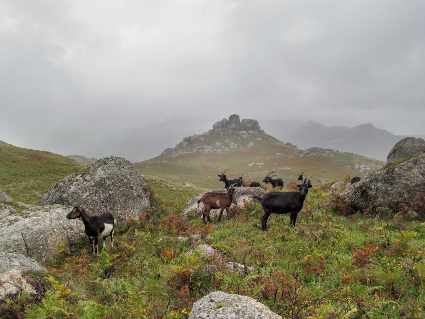 Portugal, fietsen in het noorden