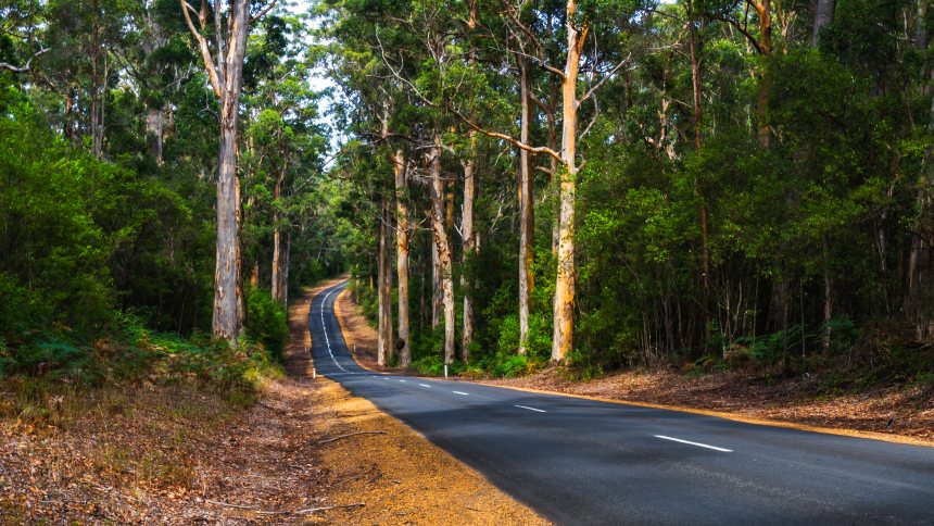 Fietsen buiten Europa Australie, Manjimup