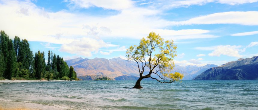 Nieuw Zeeland Wanaka Lake