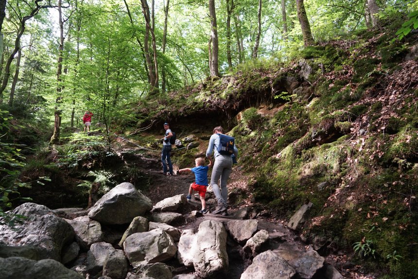 De Ninglinspo Ardennen