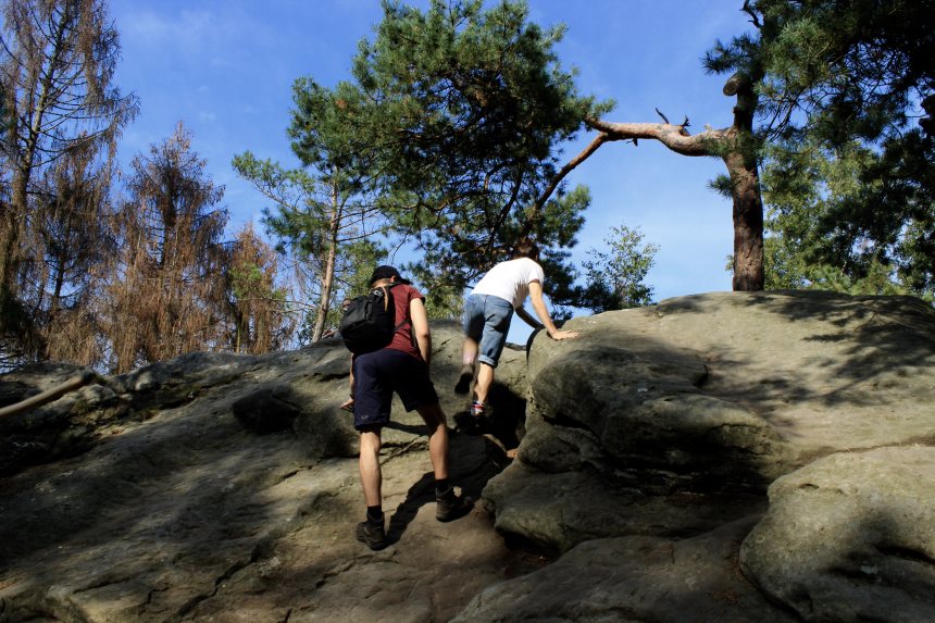 Hermannshohe Teutoburgerwald