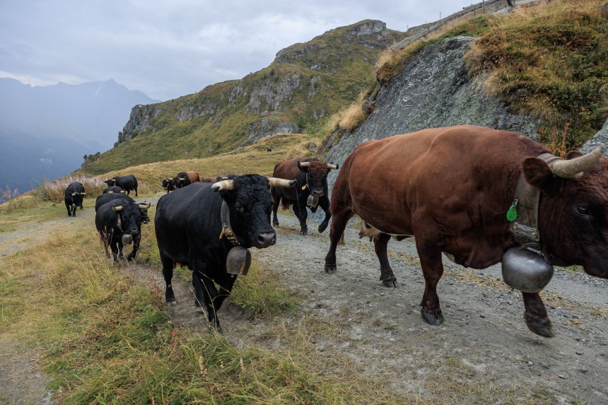 Nendaz Trekking