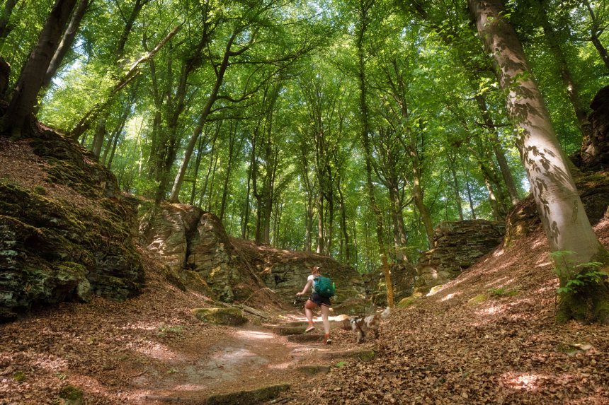 Mullerthal Trail