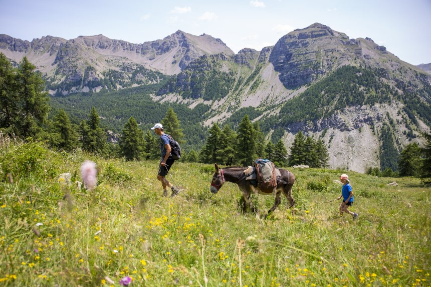 Ezelwandeling Mercantour
