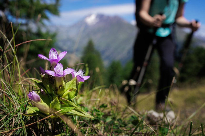 Huttentocht Mont Fallere