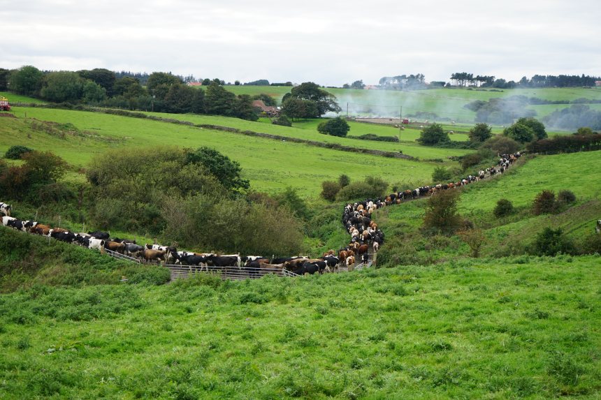 North Sea Cycle Route