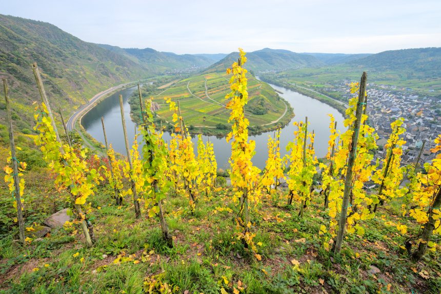 Moselsteig wandelroute