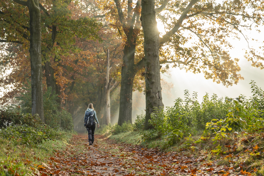 Kloosterwandelingen Brabant