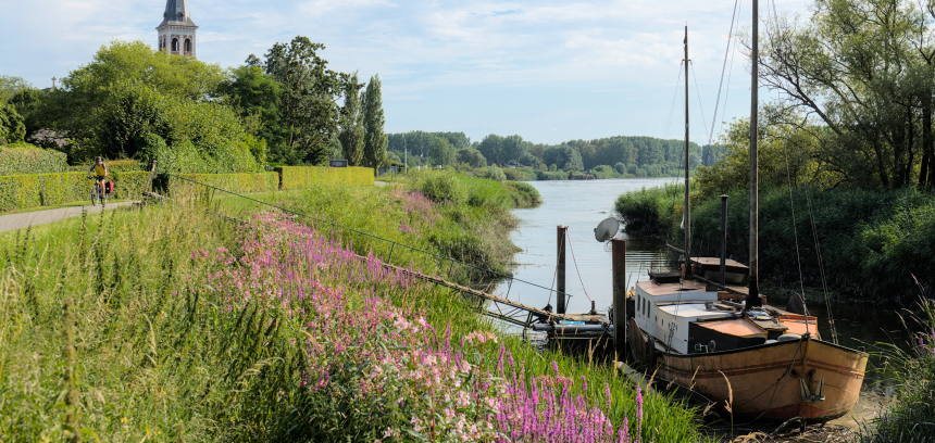 Sint-Amands aan de Schelde