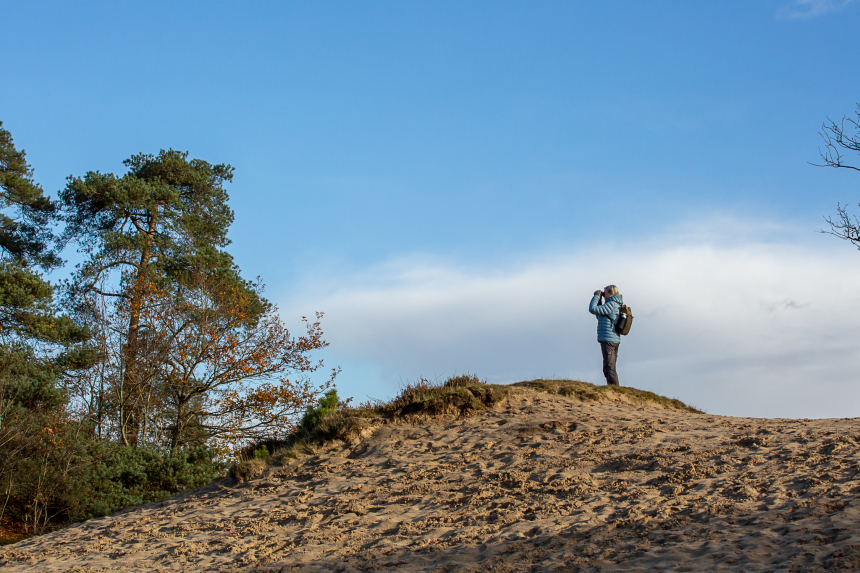Winterwandelen Friesland