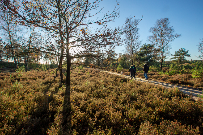 Winterwandelen Friesland