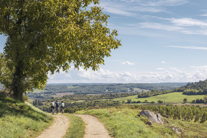 Fietsen Frankrijk Morvan Bourgogne