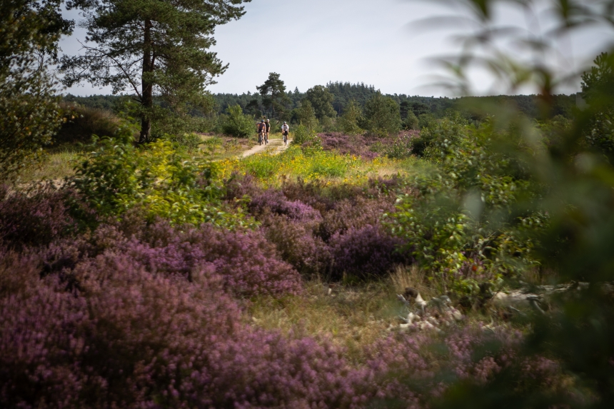 Veluwe Gravel