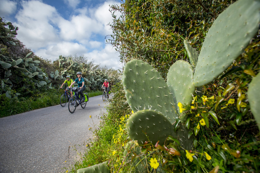 99A8508-HR1-600x400.jpg 99A8508-HR1-600x400.jpg