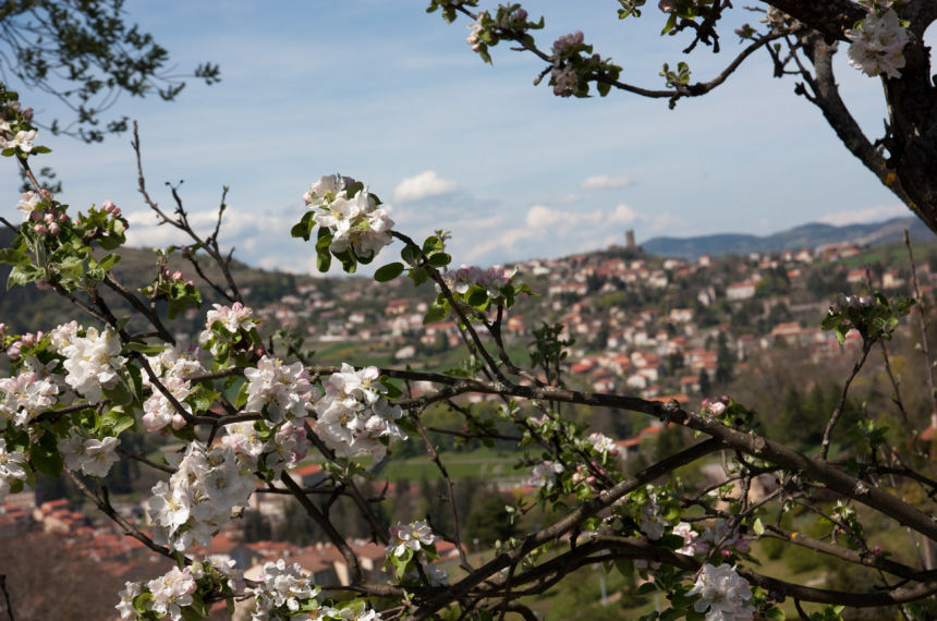 Auvergne-4