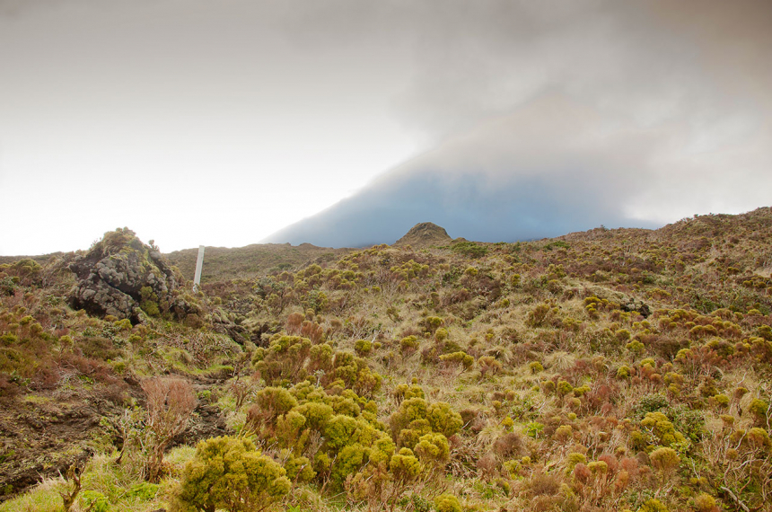 De top van de Pico, in de mist, zoals wel vaker.