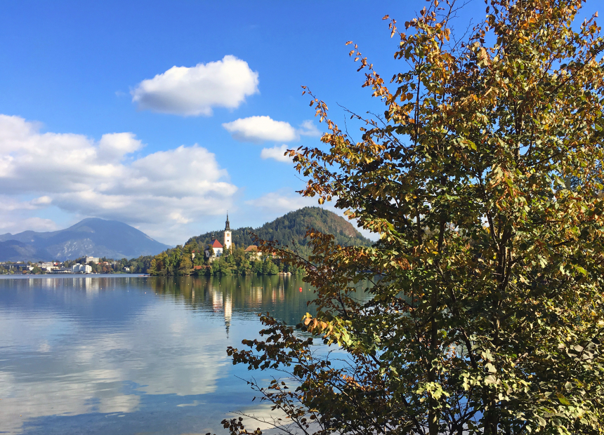 Bled-1-600x433.jpg Bled-1-600x433.jpg