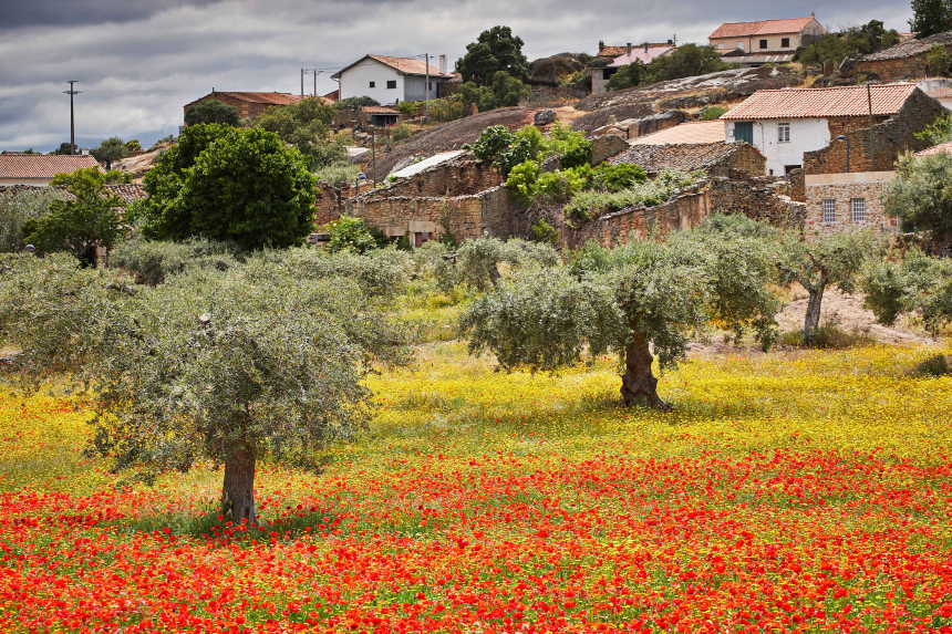Cidadelhe-810A9179-600x400.jpg Cidadelhe-810A9179-600x400.jpg