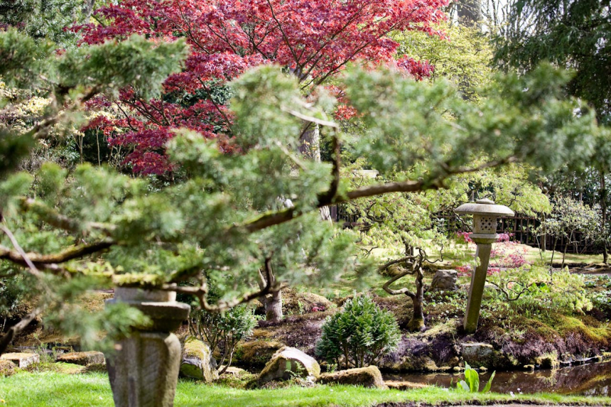 Clingendael_Japanse-Tuin-003-600x399.jpg l;dkfasldkjflaskdjf