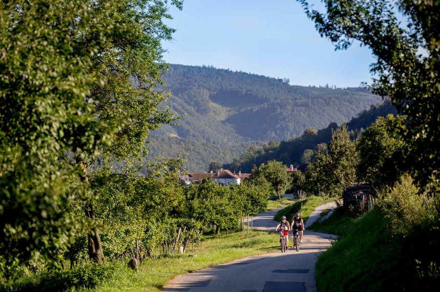 Dag-3-wijngaarden-bij-Wachau2-600x398.jpg Dag-3-wijngaarden-bij-Wachau2-600x398.jpg