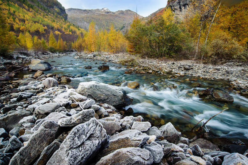 Biayesse, Freisinnieres.