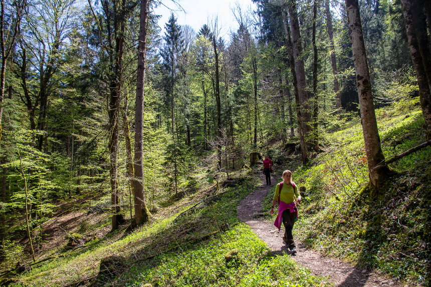 Etappe-1-afdalen-naar-Tegernsee-600x400.jpg Etappe-1-afdalen-naar-Tegernsee-600x400.jpg