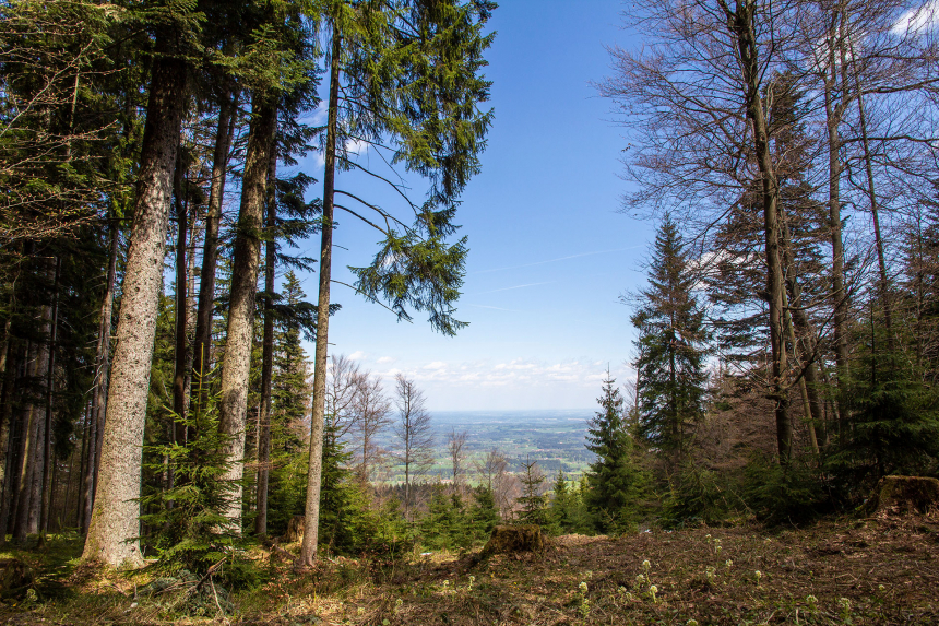 Etappe-2-uitzicht-op-laagland-in-het-noorden-600x400.jpg Etappe-2-uitzicht-op-laagland-in-het-noorden-600x400.jpg