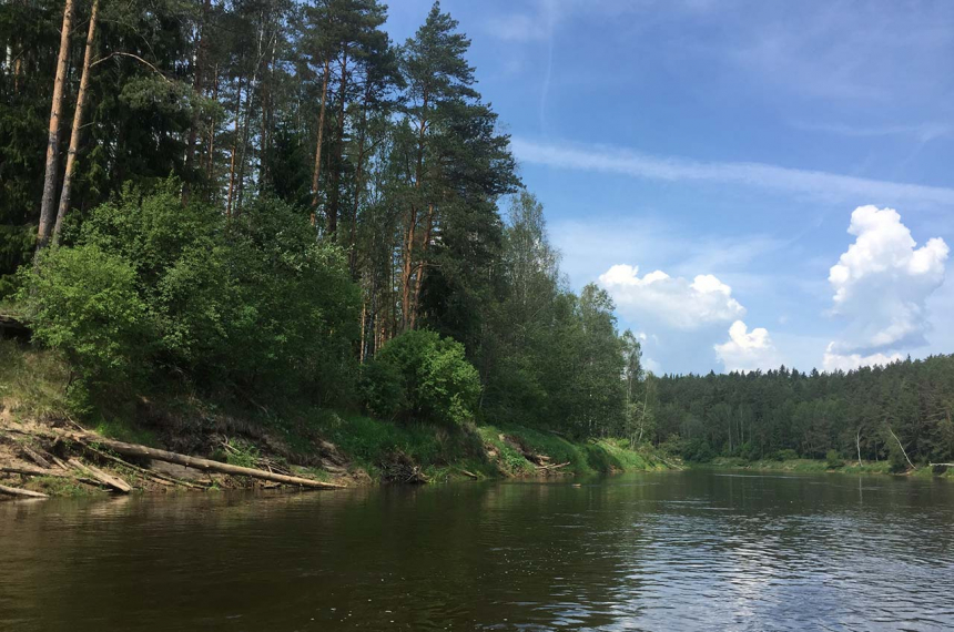 GaujaNP-natuur-600x398.jpg Ongerepte natuur