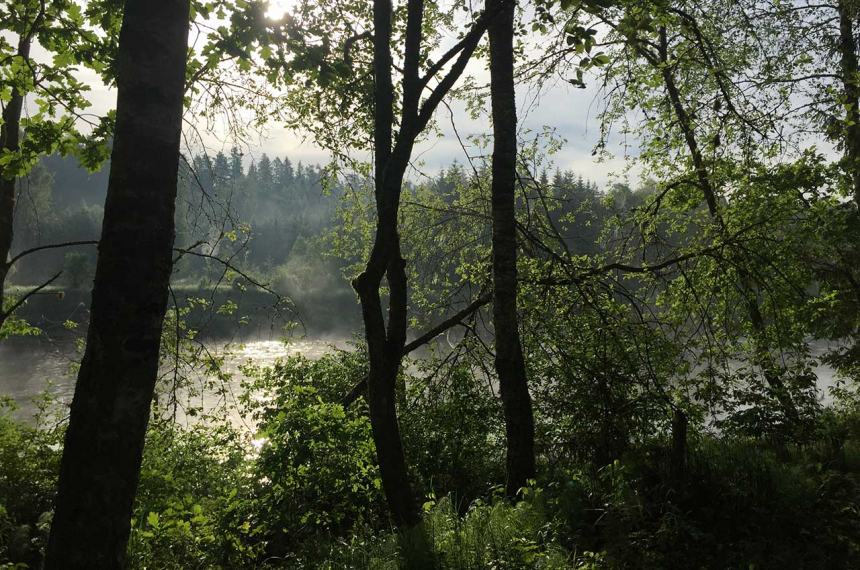 GaujaNP-uitzicht-600x398.jpg Het uitzicht van de overnachtingsplek