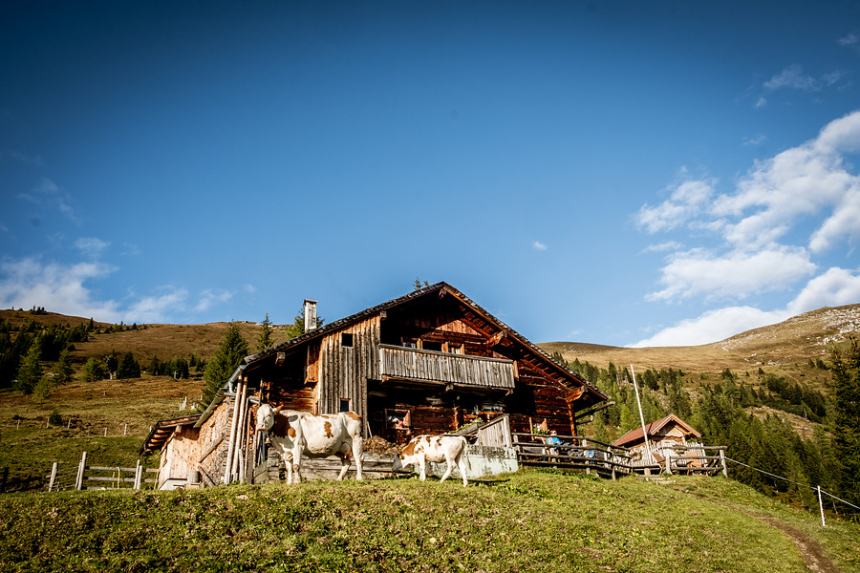Grossarltal_-Ellmaualm-600x400.jpg Grossarltal_-Ellmaualm-600x400.jpg