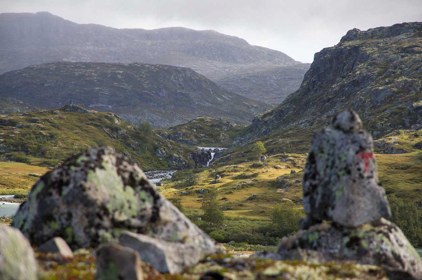 Hardangervidda-Wilde-vallei-600x398.jpg