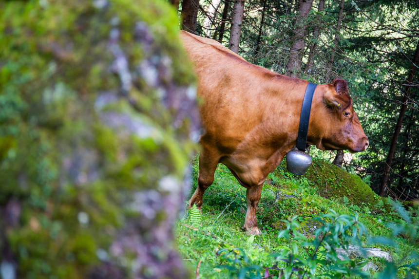 bergwandelen Oostenrijk Dachstein