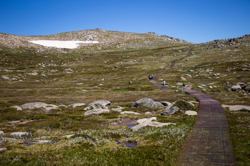 Mount Kosciuzko track