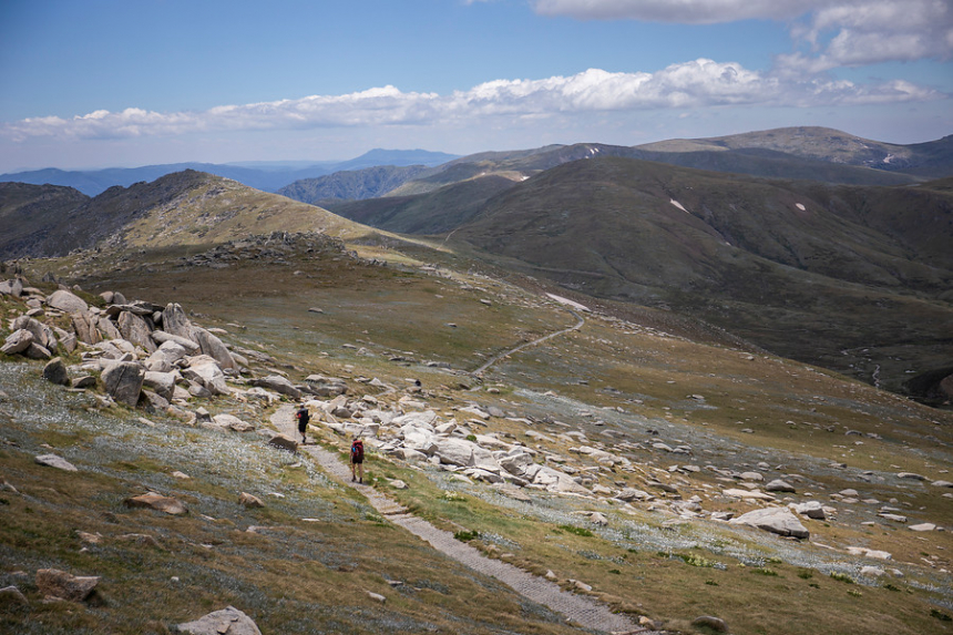 Mount Kosciuzko track