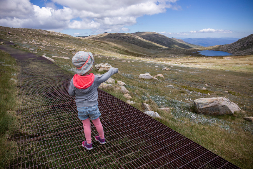 Mount Kosciuzko track
