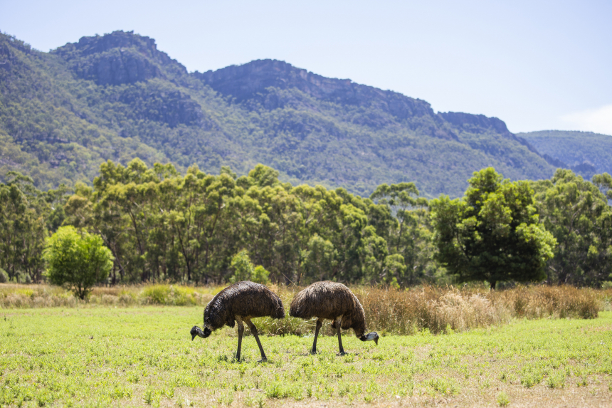 IMG_2793-600x400.jpg Australie Grampians
