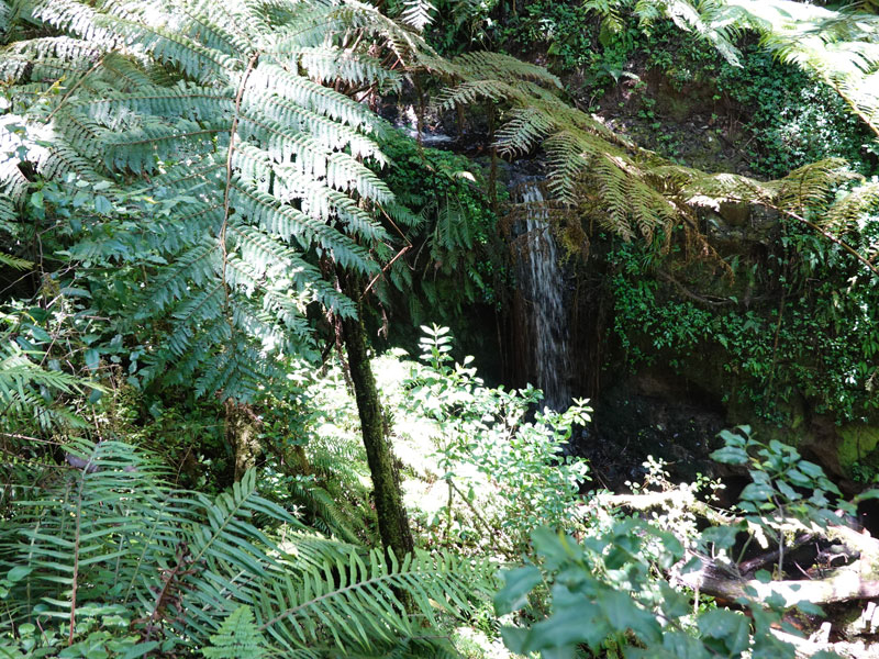 Kilimanjaro_regenwoud-600x450.jpg Kilimanjaro_regenwoud