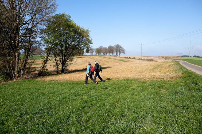 LR-2.wandelen-Clervaux-Munshausen-Clervaux-006