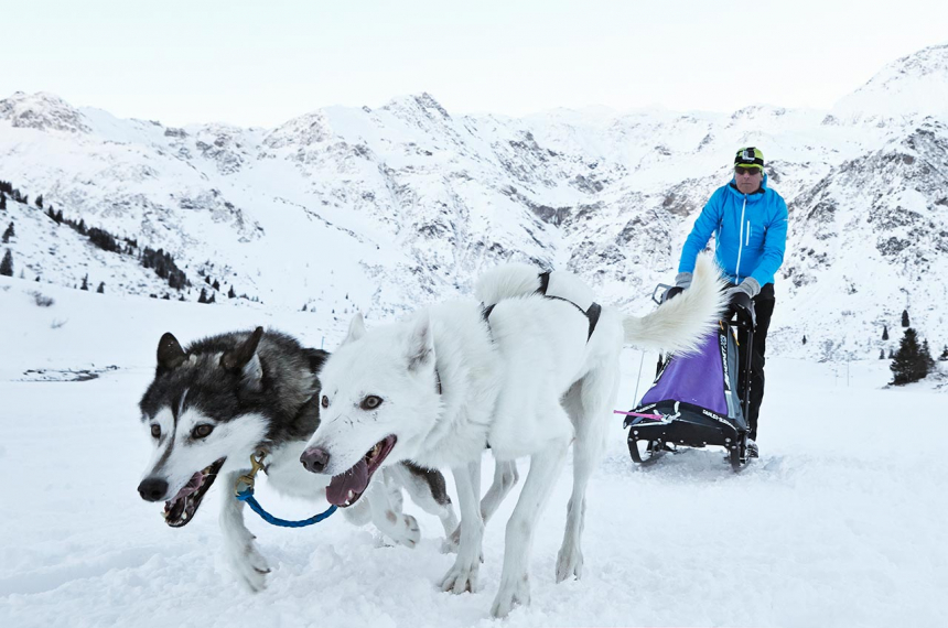 LR-Dog-sleigh_21-600x398.jpg LR-Dog-sleigh_2