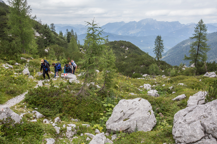 dl;fkjdfklajsdl;fjadklf