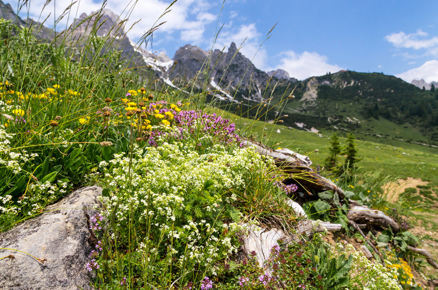 dkfjdl;kfjlakdfjl;ak