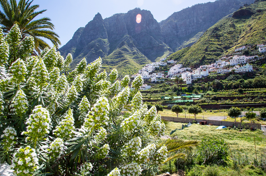 LR-GranCanaria_BasvanOort-145