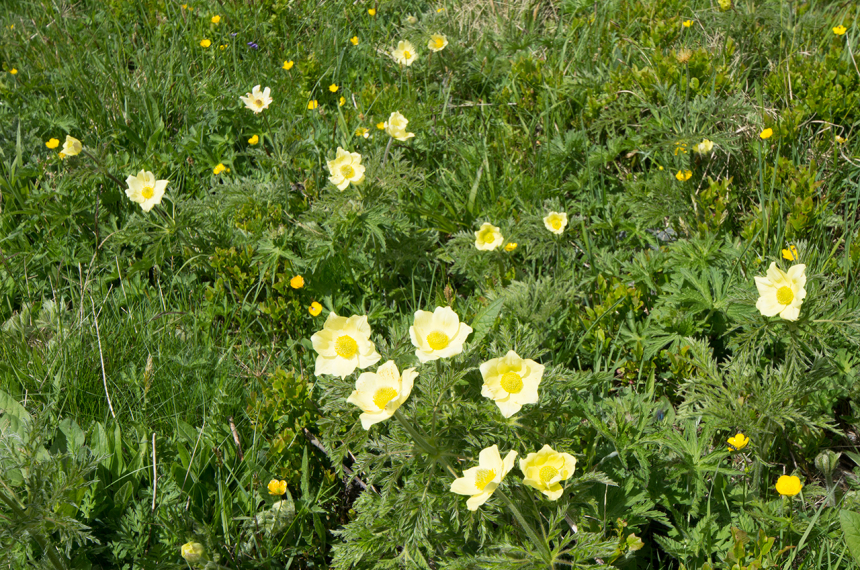 dfkljsl;fjl;sdfjlksd