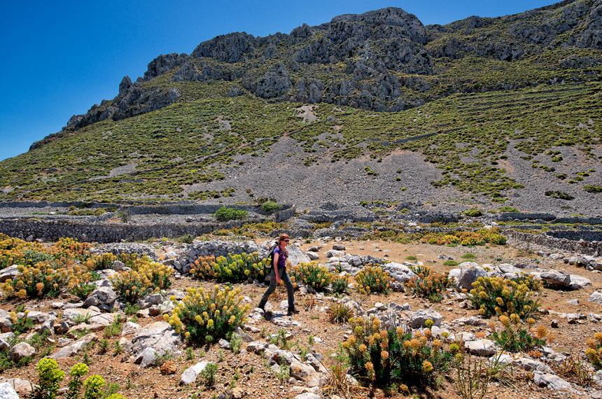 LR-_DSC5173-2-600x398.jpg LR-_DSC5173-2