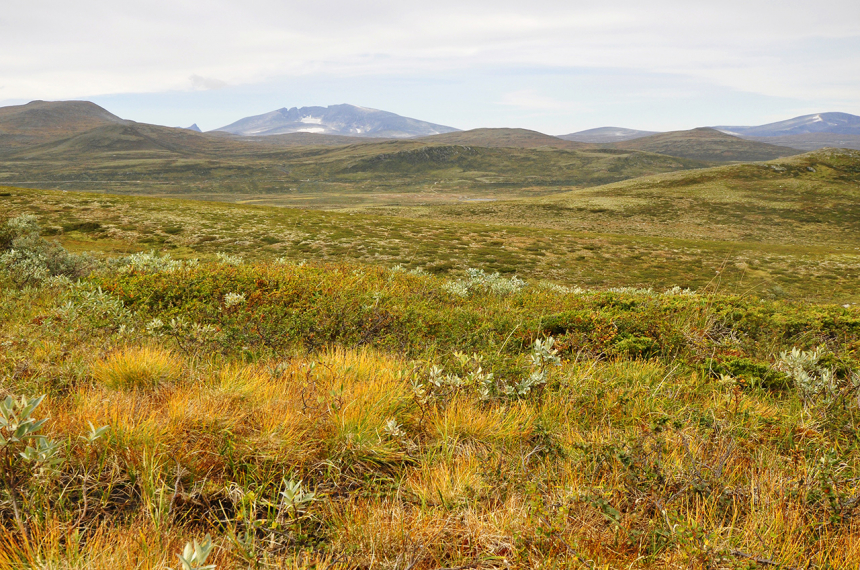 LR-dovre_02_HR-600x397.jpg lkdfl;akdjfkl;jfl;akdfjkl;