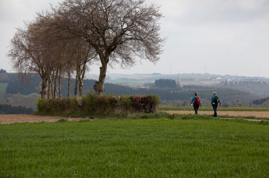 LR-wandelen-clervaux