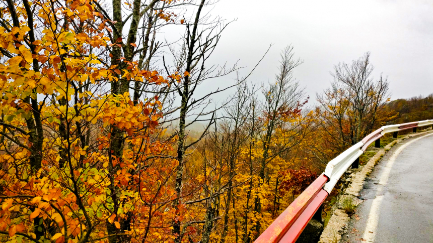 Heerlijk herfstig Lovćen