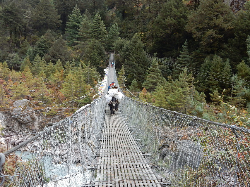 Nepal-Everest-reis-23-nov-2018-Karien-10-600x450.jpg trektocht Nepal