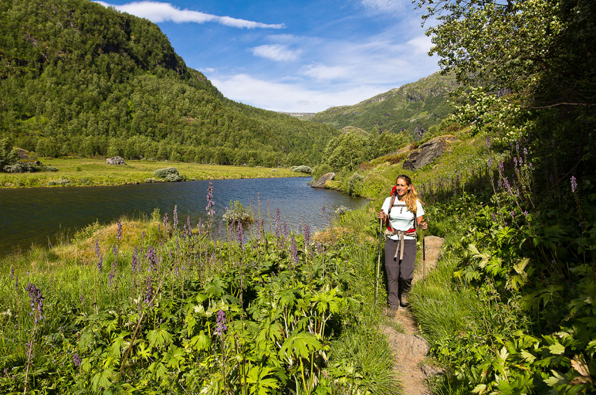 Weer in het volle groen.