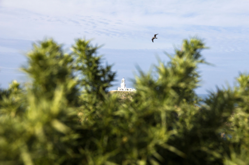 Pembrokeshire-Coastpath-Wales-wandelen-4-600x398.jpg Vuurtoren Strumble Head.